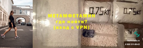 прущие грибы Осташков