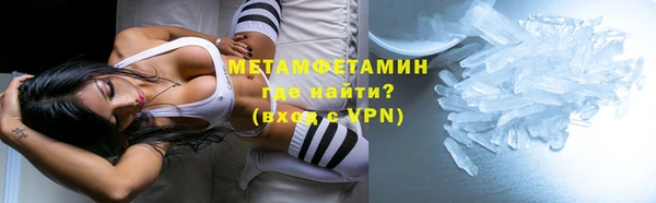 прущие грибы Осташков