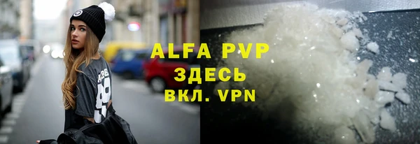 прущие грибы Осташков