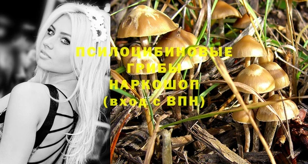 прущие грибы Осташков