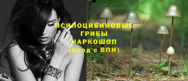 меф Осинники