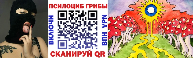 Купить где  Долинск  Псилоцибиновые грибы GOLDEN TEACHER 